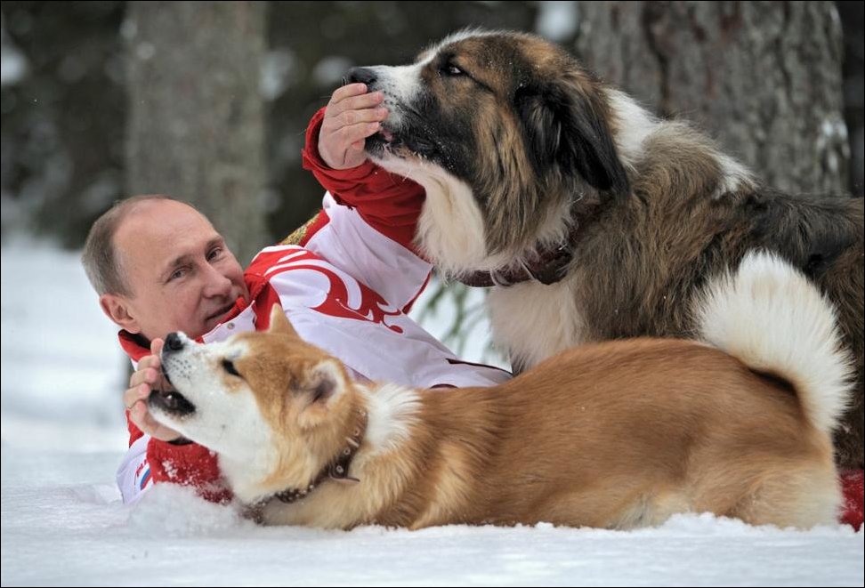 www.gladiators-chess.ru/images/putin-with-dogs-005.jpg